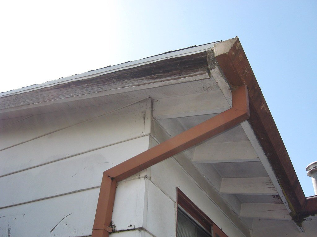 Roof eave with gutter and downspout