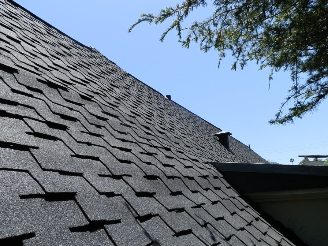 Steep dark shingle roof slope showing the pitch of the roof.