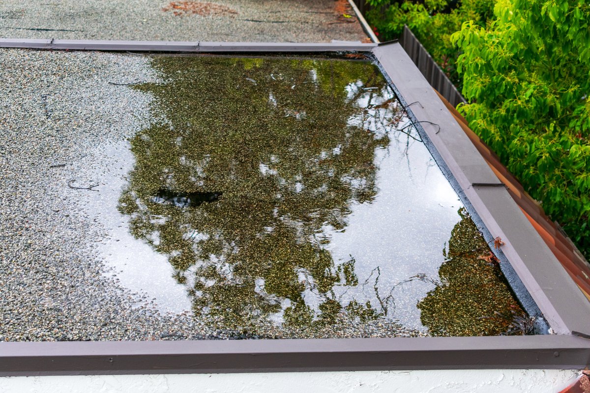 Large pool of standing water on a flat roof inside a curb.